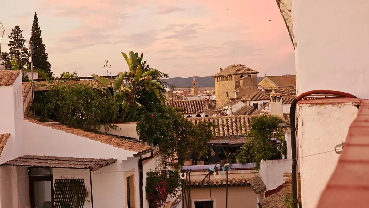 Apartamento La Abadesa Apartment Cordoba Spain