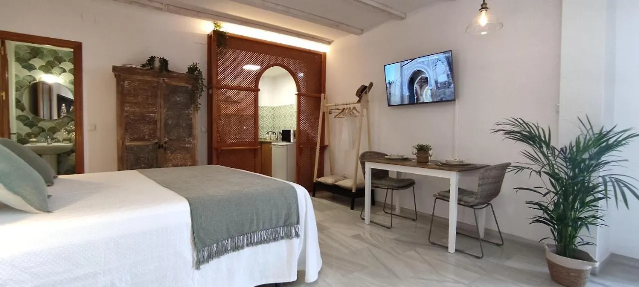 Apartamento La Abadesa Apartment Cordoba