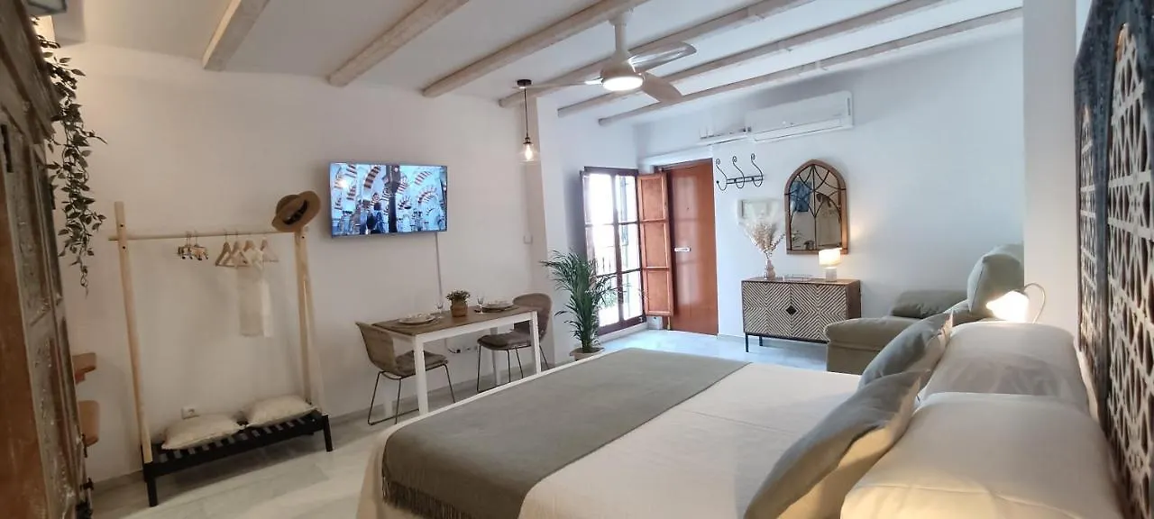 Apartamento La Abadesa Apartment Cordoba 0*,